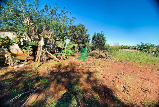 Imagem Chácara com 3 Quartos à Venda, 3.870 m² em Aparecidinha - Santa Terezinha De Itaipu