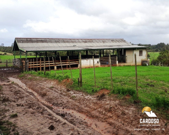Imagem Imóvel com 3 Quartos à Venda, 350.000 m² em águas Claras - Viamão