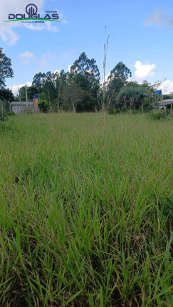 Imagem Terreno à Venda, 2.200 m² em Viamão