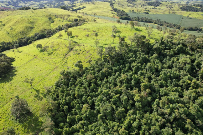 Imagem Chácara à Venda, 9 m² em Zona Rural - São Sebastião Do Paraíso Imagem Chácara à Venda, 9 m² em Zona Rural - São Sebastião Do Paraíso