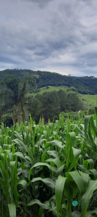 Imagem Imóvel à Venda, 130.932 m² em Zona Rural - Alfredo Wagner Imagem Imóvel à Venda, 130.932 m² em Zona Rural - Alfredo Wagner