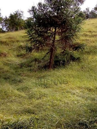 Imagem Imóvel com 3 Quartos à Venda, 250 m² em Bairro Do Sobrado - São José Dos Campos