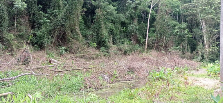Imagem Terreno em Condomínio à Venda, 484 m² em Massaguaçu - Caraguatatuba