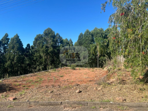 Imagem Terreno à Venda, 450 m² em Residencial Dos Platanos - Nova Petrópolis Imagem Terreno à Venda, 450 m² em Residencial Dos Platanos - Nova Petrópolis