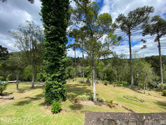 Imagem Chácara com 3 Quartos à Venda, 15.000 m² em Linha Araripe A - Gramado Imagem Chácara com 3 Quartos à Venda, 15.000 m² em Linha Araripe A - Gramado