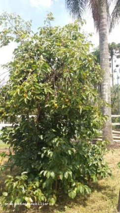 Imagem Chácara à Venda, 3.007 m² em Consultar - Ibiúna