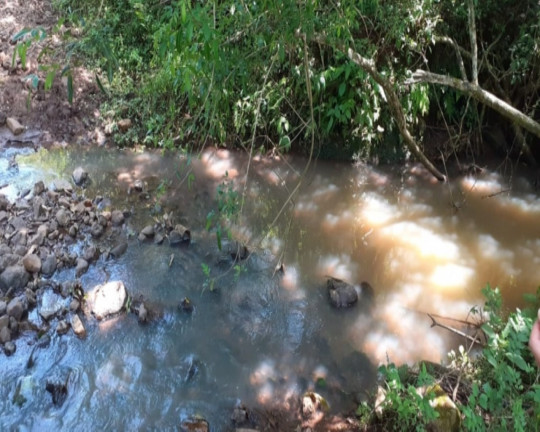 Imagem Imóvel com 1 Quarto à Venda,  em Vila Rica - Presidente Lucena