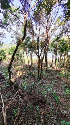Imagem Terreno à Venda, em Tamborete - Imaruí Imagem Terreno à Venda, em Tamborete - Imaruí