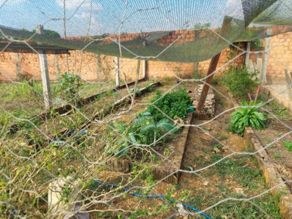 Imagem Chácara à Venda, em área Rural De Porto Velho - Porto Velho Imagem Chácara à Venda, em área Rural De Porto Velho - Porto Velho