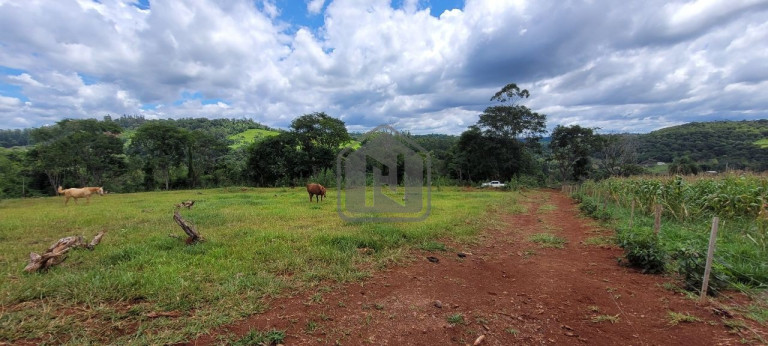 Imagem Imóvel à Venda, 2 m² em Presidente - Cascavel Imagem Imóvel à Venda, 2 m² em Presidente - Cascavel