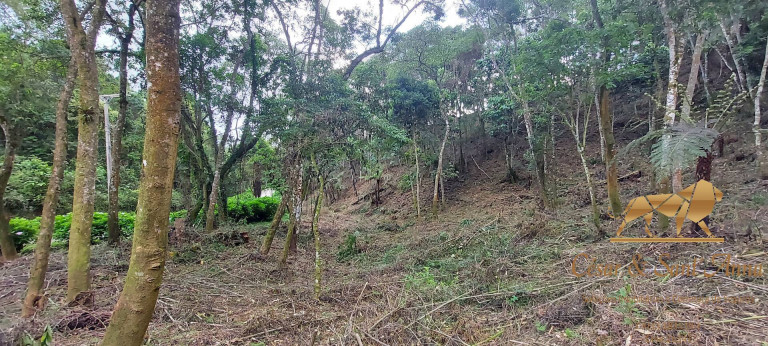 Imagem Terreno à Venda, 1.050 m² em Alto Da Boa Vista - Campos Do Jordão Imagem Terreno à Venda, 1.050 m² em Alto Da Boa Vista - Campos Do Jordão