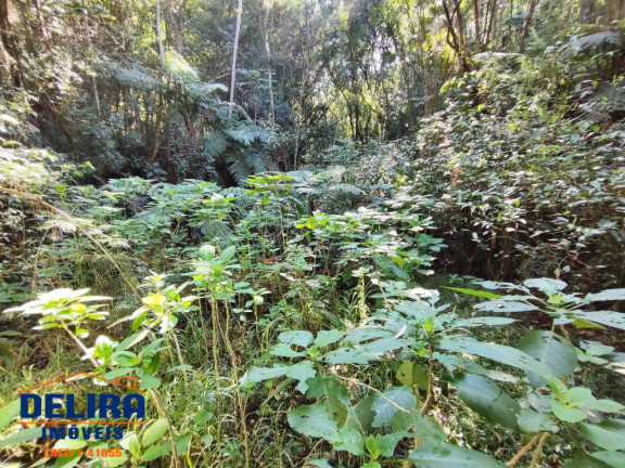 Imagem Chácara com 2 Quartos à Venda, 5 m² em Corumbá (terra Preta) - Mairiporã Imagem Chácara com 2 Quartos à Venda, 5 m² em Corumbá (terra Preta) - Mairiporã