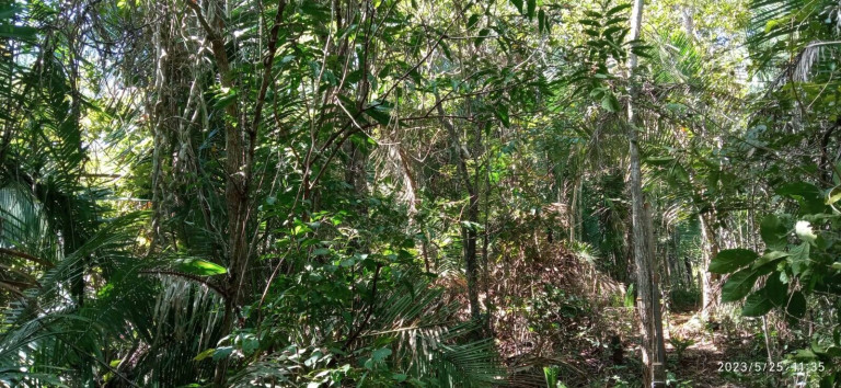 Imagem Chácara com 2 Quartos à Venda, 15 m² em água Fria - Chapada Dos Guimarães Imagem Chácara com 2 Quartos à Venda, 15 m² em água Fria - Chapada Dos Guimarães