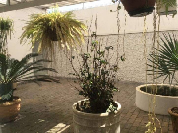 Imagem Sala Comercial para Alugar, 650 m² em Vila Bastos - Santo André Imagem Sala Comercial para Alugar, 650 m² em Vila Bastos - Santo André