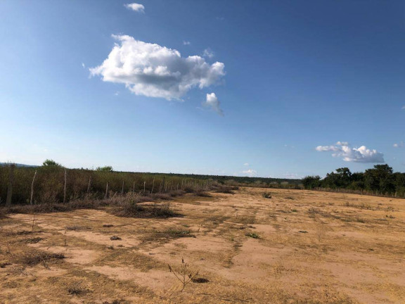 Imagem Fazenda à Venda, 1.000 m² em Centro - São Francisco Imagem Fazenda à Venda, 1.000 m² em Centro - São Francisco