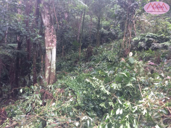 Imagem Terreno à Venda, 1.695 m² em Chácara Carreiras - Santo André Imagem Terreno à Venda, 1.695 m² em Chácara Carreiras - Santo André