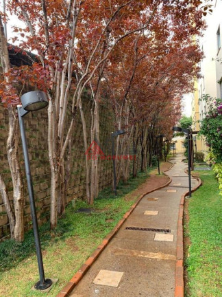 Imagem Apartamento com 2 Quartos à Venda, 46 m² em Paraisópolis - São Paulo