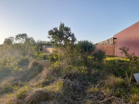 Imagem Terreno à Venda, 600 m² em Diácono João Luiz Pozzobon - Santa Maria Imagem Terreno à Venda, 600 m² em Diácono João Luiz Pozzobon - Santa Maria