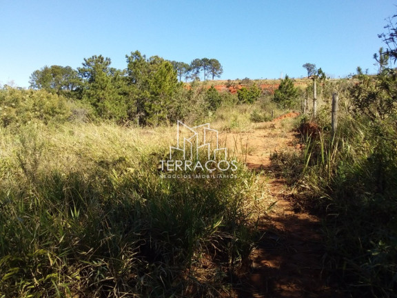 Imagem Terreno à Venda, 675 m² em Estrada São João - Jarinu Imagem Terreno à Venda, 675 m² em Estrada São João - Jarinu