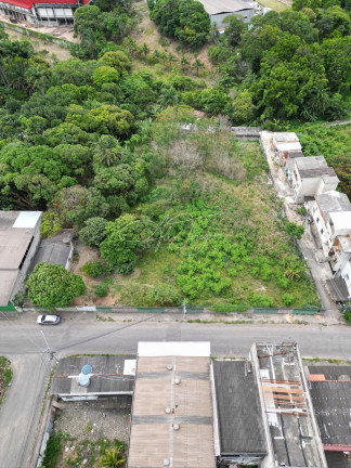 Terreno à Venda, 4.500 m² em Novo Horizonte - Serra