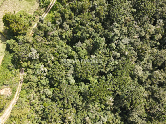 Imagem Terreno à Venda, 5.100 m² em Região Do Atalaia - Campos Do Jordão Imagem Terreno à Venda, 5.100 m² em Região Do Atalaia - Campos Do Jordão