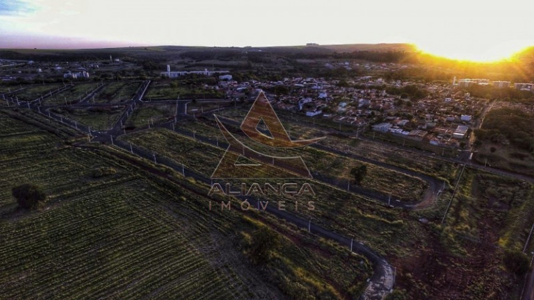 Imagem Terreno à Venda, 250 m² em Bonfim Paulista - Bonfim Paulista Imagem Terreno à Venda, 250 m² em Bonfim Paulista - Bonfim Paulista