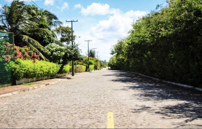 Imagem Terreno à Venda, 450 m² em Praia Da Pipa - Tibau Do Sul Imagem Terreno à Venda, 450 m² em Praia Da Pipa - Tibau Do Sul