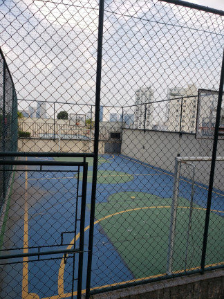 Imagem Imóvel com 3 Quartos à Venda, 262 m² em Real Parque - São Paulo Imagem Imóvel com 3 Quartos à Venda, 262 m² em Real Parque - São Paulo
