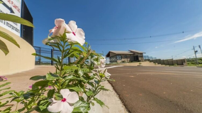 Imagem Terreno à Venda, 289 m² em Bonfim Paulista - Ribeirão Preto Imagem Terreno à Venda, 289 m² em Bonfim Paulista - Ribeirão Preto