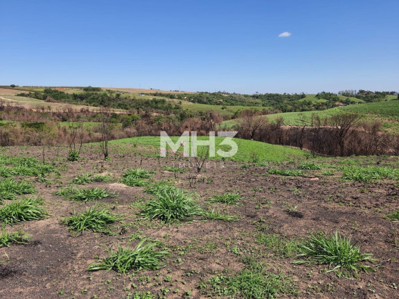 Imagem Terreno à Venda, 54.000 m² em Chácara Recreio Cruzeiro Do Sul - Santa Bárbara D'oeste