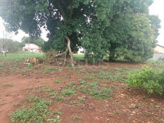 Imagem Imóvel com 1 Quarto à Venda, 2.970 m² em Vila Apolo - Itapetininga Imagem Imóvel com 1 Quarto à Venda, 2.970 m² em Vila Apolo - Itapetininga