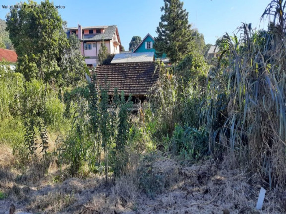Terreno à Venda, 362 m² em Pinhal Alto - Nova Petrópolis