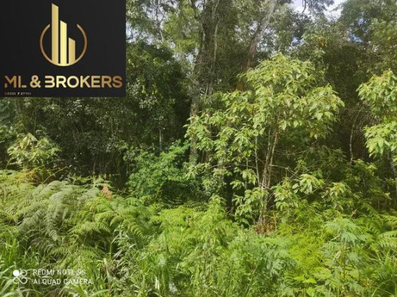 Imagem Imóvel à Venda, 20.000 m² em Sao Silvestre - Campo Largo