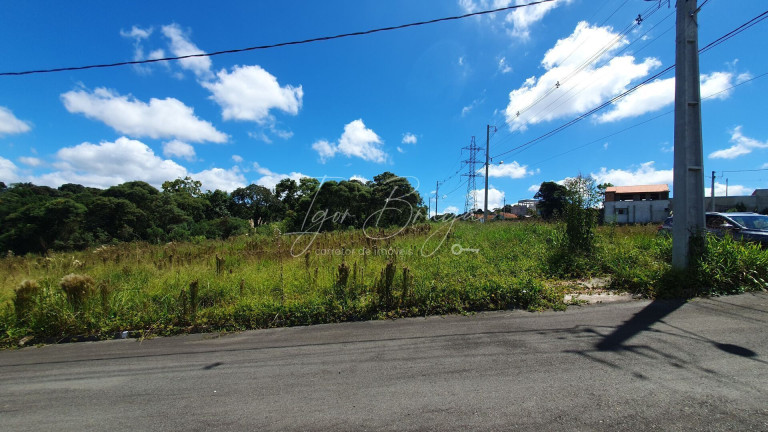 Imagem Terreno à Venda, 189 m² em Bom Jesus - Campo Largo Imagem Terreno à Venda, 189 m² em Bom Jesus - Campo Largo