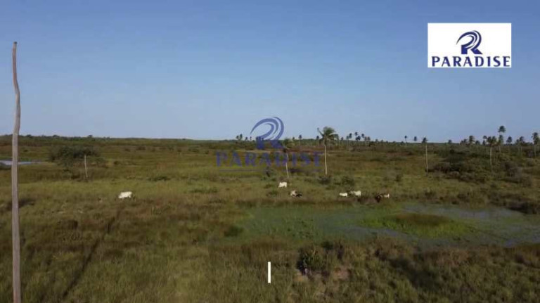 Imagem Fazenda à Venda, 1.850.000 m² em Zona Rural - Esplanada Imagem Fazenda à Venda, 1.850.000 m² em Zona Rural - Esplanada