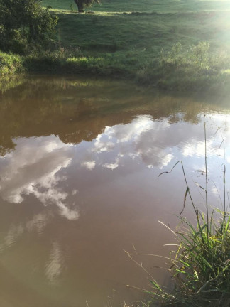 Imóvel à Venda,  em Zona Rural - Estiva