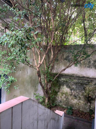 Imagem Casa com 2 Quartos para Alugar, 72 m² em Pinheiros - São Paulo Imagem Casa com 2 Quartos para Alugar, 72 m² em Pinheiros - São Paulo
