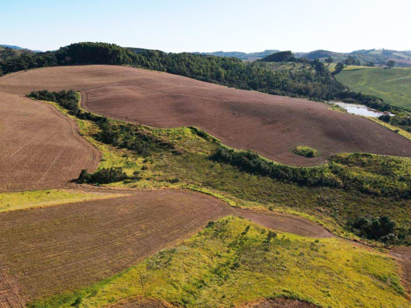 Imagem Fazenda à Venda, 895.000 m² em Centro - Andradas
