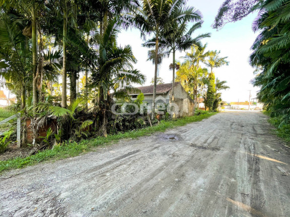 Imagem Terreno à Venda, 330 m² em Pinheiros - Balneário Barra Do Sul Imagem Terreno à Venda, 330 m² em Pinheiros - Balneário Barra Do Sul