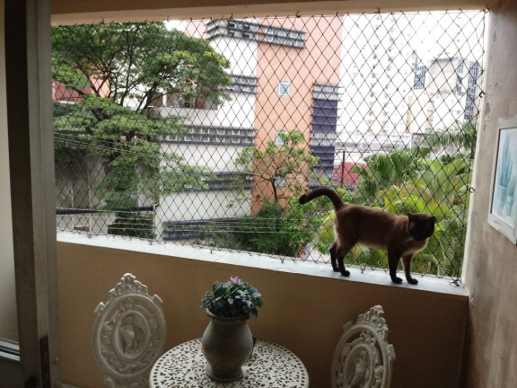Imagem Imóvel com 3 Quartos para Alugar, 90 m² em Pinheiros - São Paulo