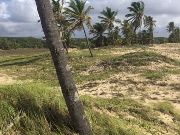 Imagem Terreno à Venda, 100.000 m² em Centro - Jandaíra Imagem Terreno à Venda, 100.000 m² em Centro - Jandaíra