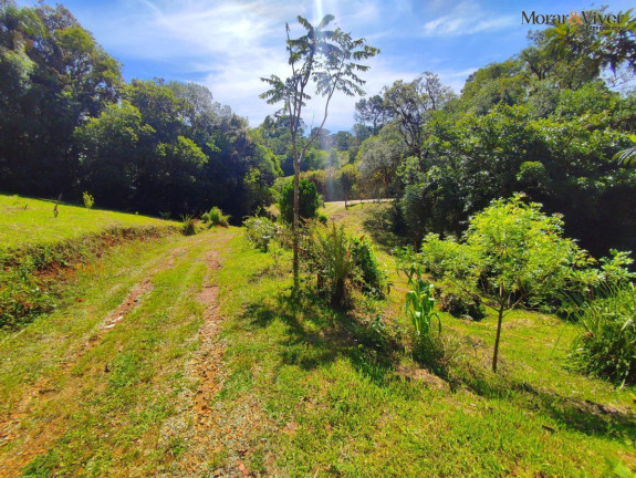 Imagem Chácara com 2 Quartos à Venda, 7.724 m² em Loteamento Chácara Chantecler - Piraquara Imagem Chácara com 2 Quartos à Venda, 7.724 m² em Loteamento Chácara Chantecler - Piraquara