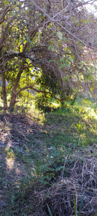 Imagem Terreno à Venda, 255 m² em Loteamento Vale Das Flores - Atibaia
