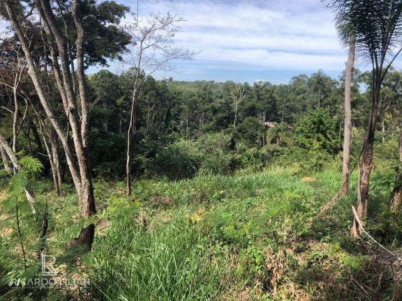 Imagem Terreno à Venda, 378 m² em Centro - Bom Jesus Dos Perdões Imagem Terreno à Venda, 378 m² em Centro - Bom Jesus Dos Perdões