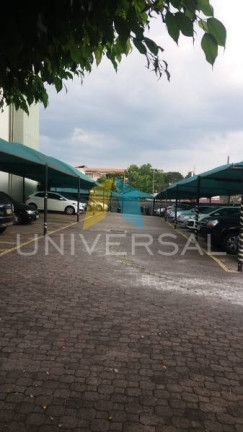 Imagem Apartamento com 3 Quartos à Venda, 51 m² em Jardim Casa Pintada - São Paulo Imagem Apartamento com 3 Quartos à Venda, 51 m² em Jardim Casa Pintada - São Paulo