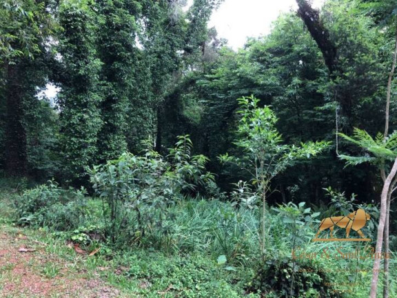 Imagem Terreno à Venda, 2.450 m² em Capivari - Campos Do Jordão Imagem Terreno à Venda, 2.450 m² em Capivari - Campos Do Jordão