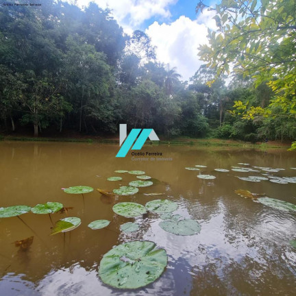 Imagem Fazenda à Venda, 30.000 m² em Centro - Itatiaiuçu Imagem Fazenda à Venda, 30.000 m² em Centro - Itatiaiuçu