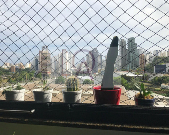 Imagem Imóvel com 2 Quartos à Venda, 83 m² em Caminho Das árvores - Salvador Imagem Imóvel com 2 Quartos à Venda, 83 m² em Caminho Das árvores - Salvador