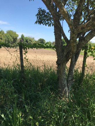 Imagem Terreno à Venda, 2.000 m² em Pedro Leme - Roseira