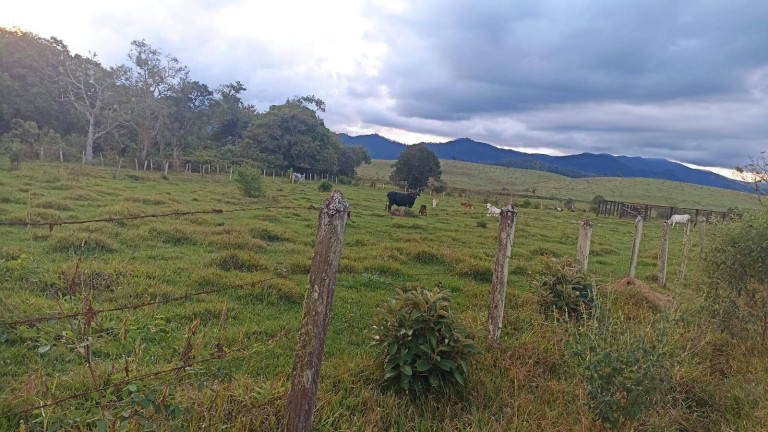 Imagem Fazenda à Venda, 100 m² em Estiva - Taubaté